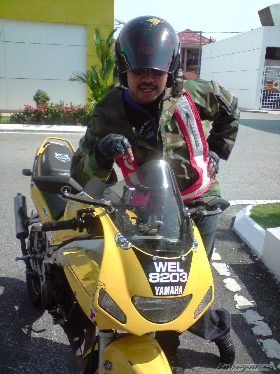 2009 YAMAHA TZM 150 | Picture 1649507 motorcycle photo