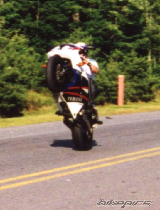 1995  FZR 1000 | Picture 165 motorcycle photo