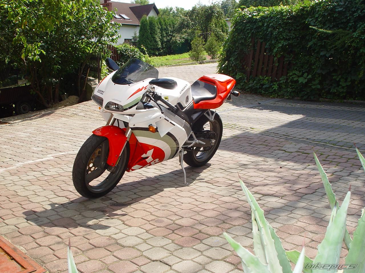 1996 CAGIVA MITO 125 | Picture 1650215 motorcycle photo