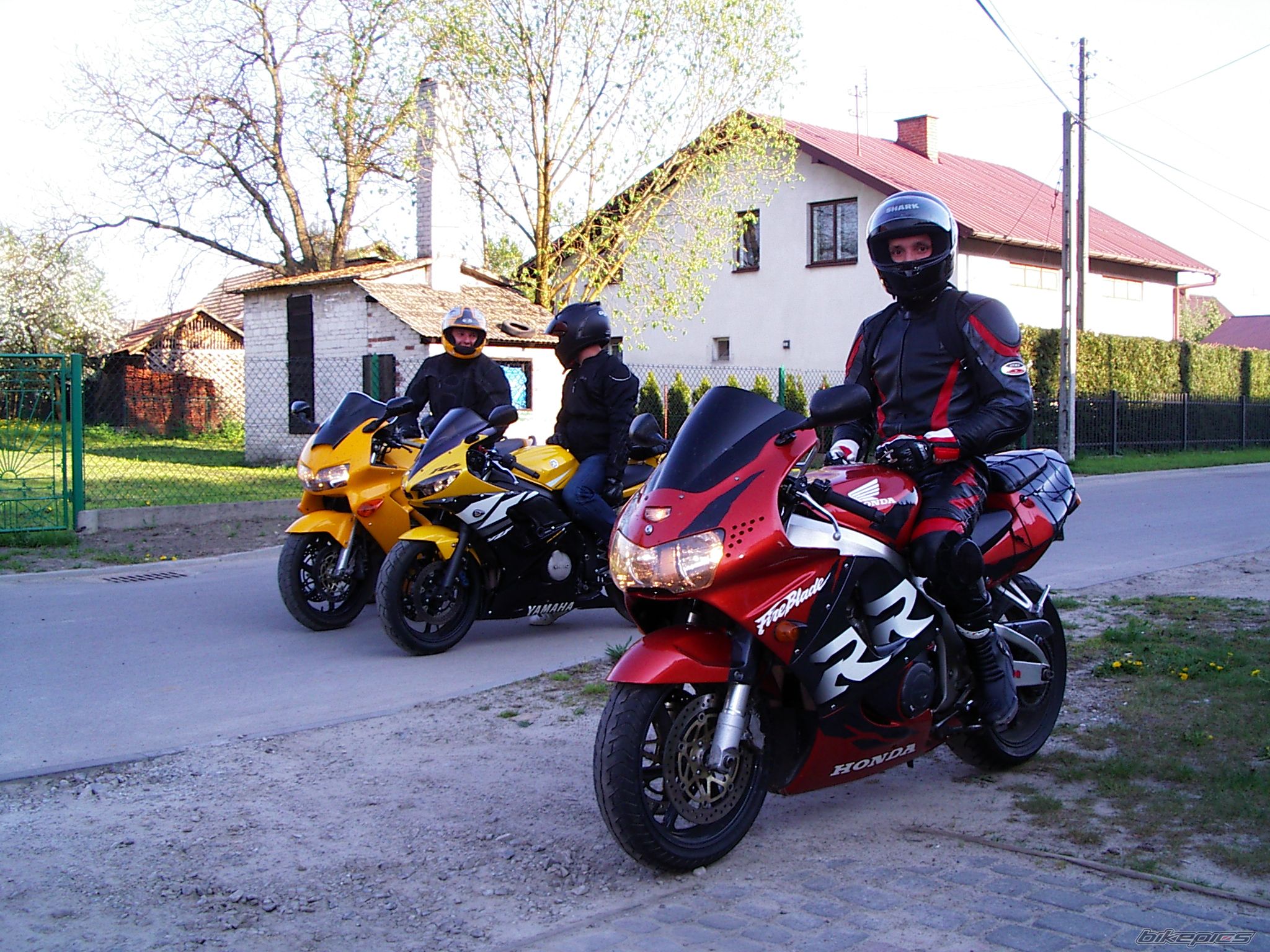 1998 HONDA CBR 900 | Picture 1650347 motorcycle photo