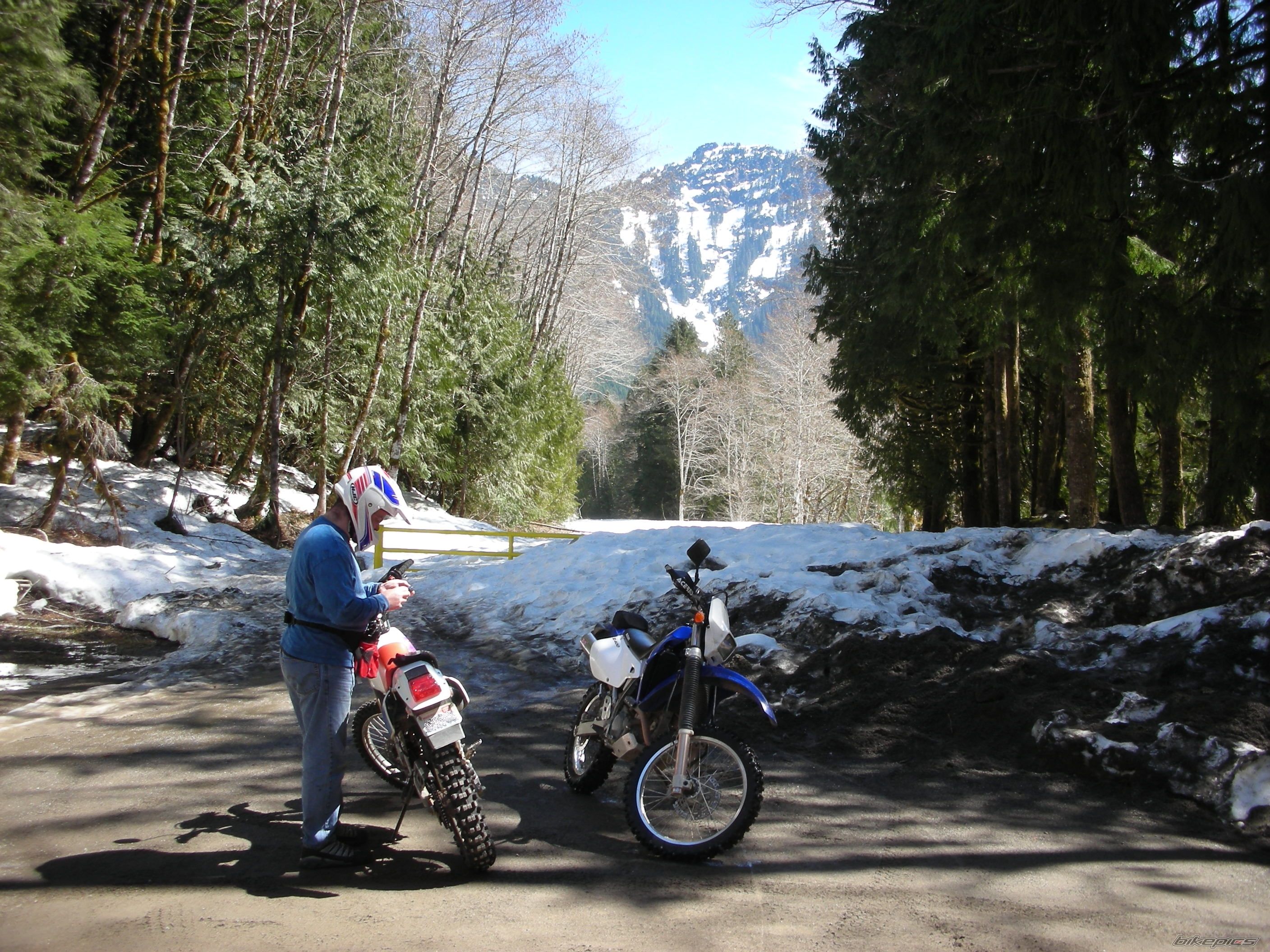1993 HONDA XR 250 | Picture 1650402 motorcycle photo