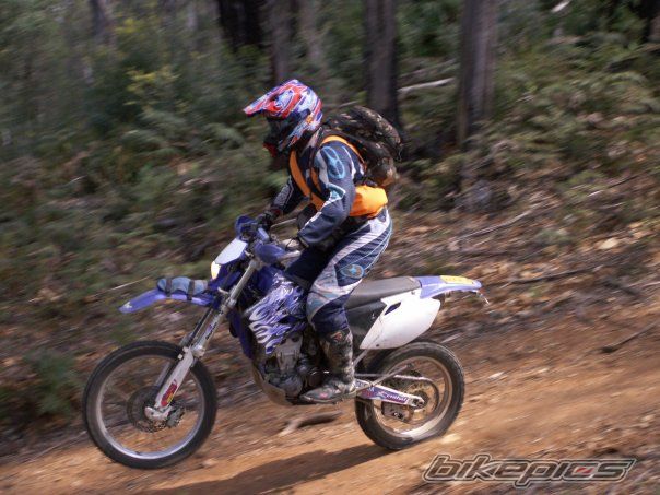 2003 YAMAHA WR450 | Picture 1650532 motorcycle photo