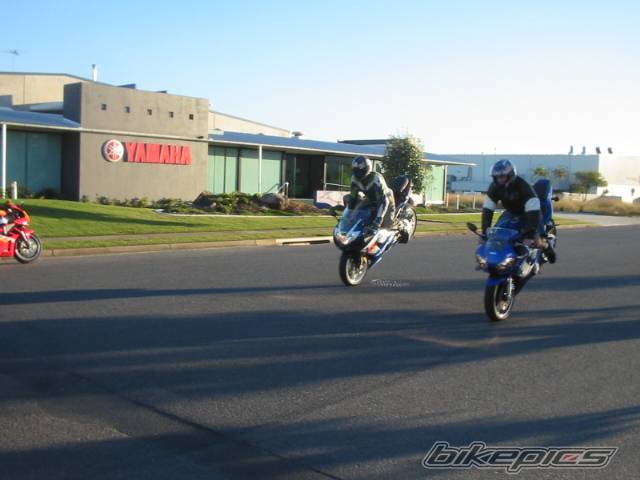 2002 SUZUKI GSX R 1000 | Picture 165062 motorcycle photo