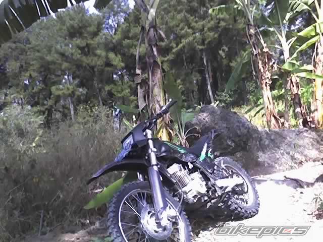 2008 LONCIN LX 250 | Picture 1651494 motorcycle photo