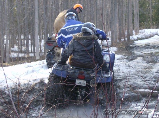 2006 YAMAHA GRIZZLY | Picture 1651543 motorcycle photo