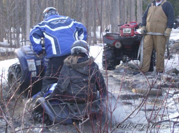 2006 YAMAHA GRIZZLY | Picture 1651545 motorcycle photo