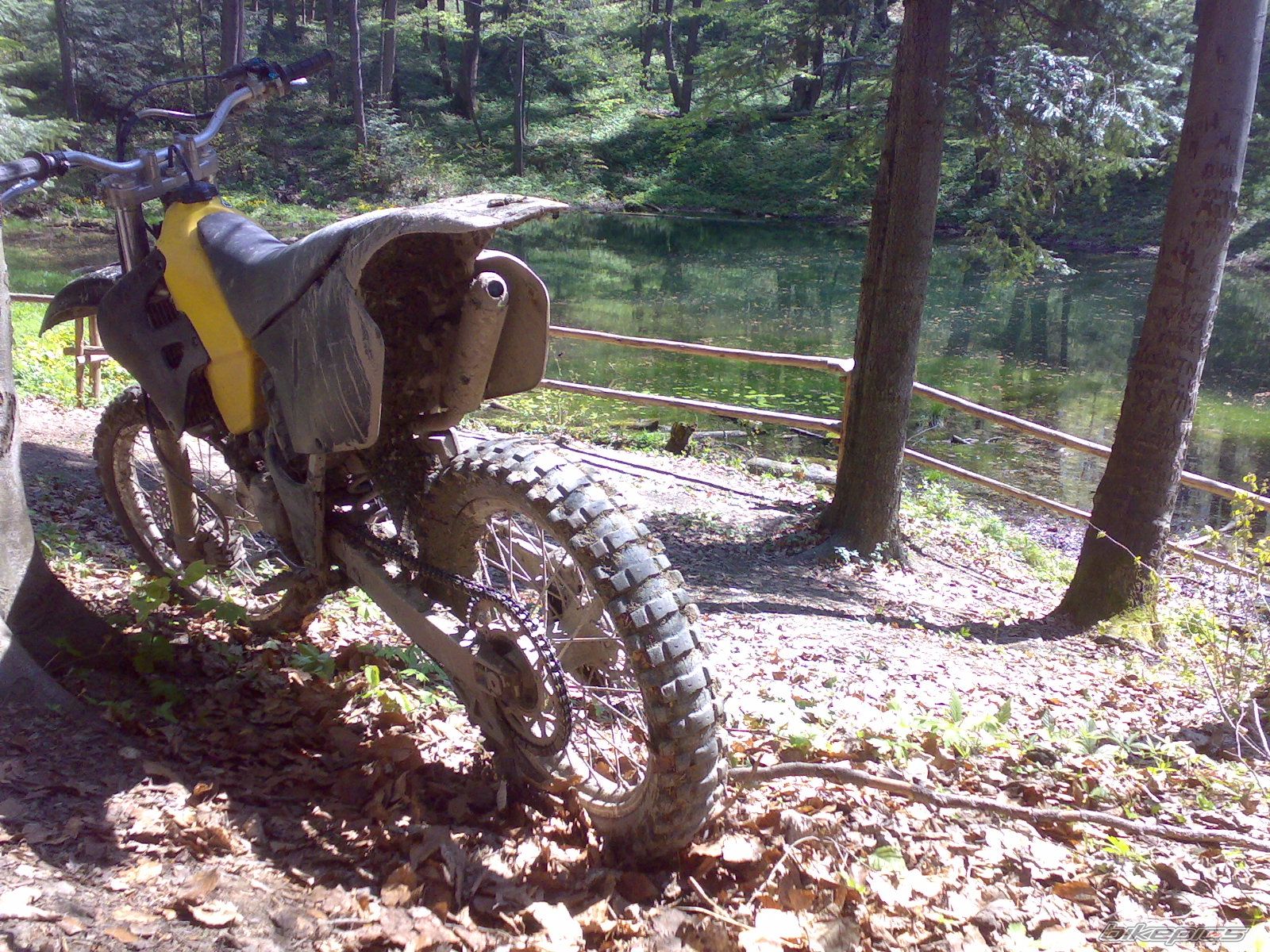1996 SUZUKI RM 125 | Picture 1651671 motorcycle photo