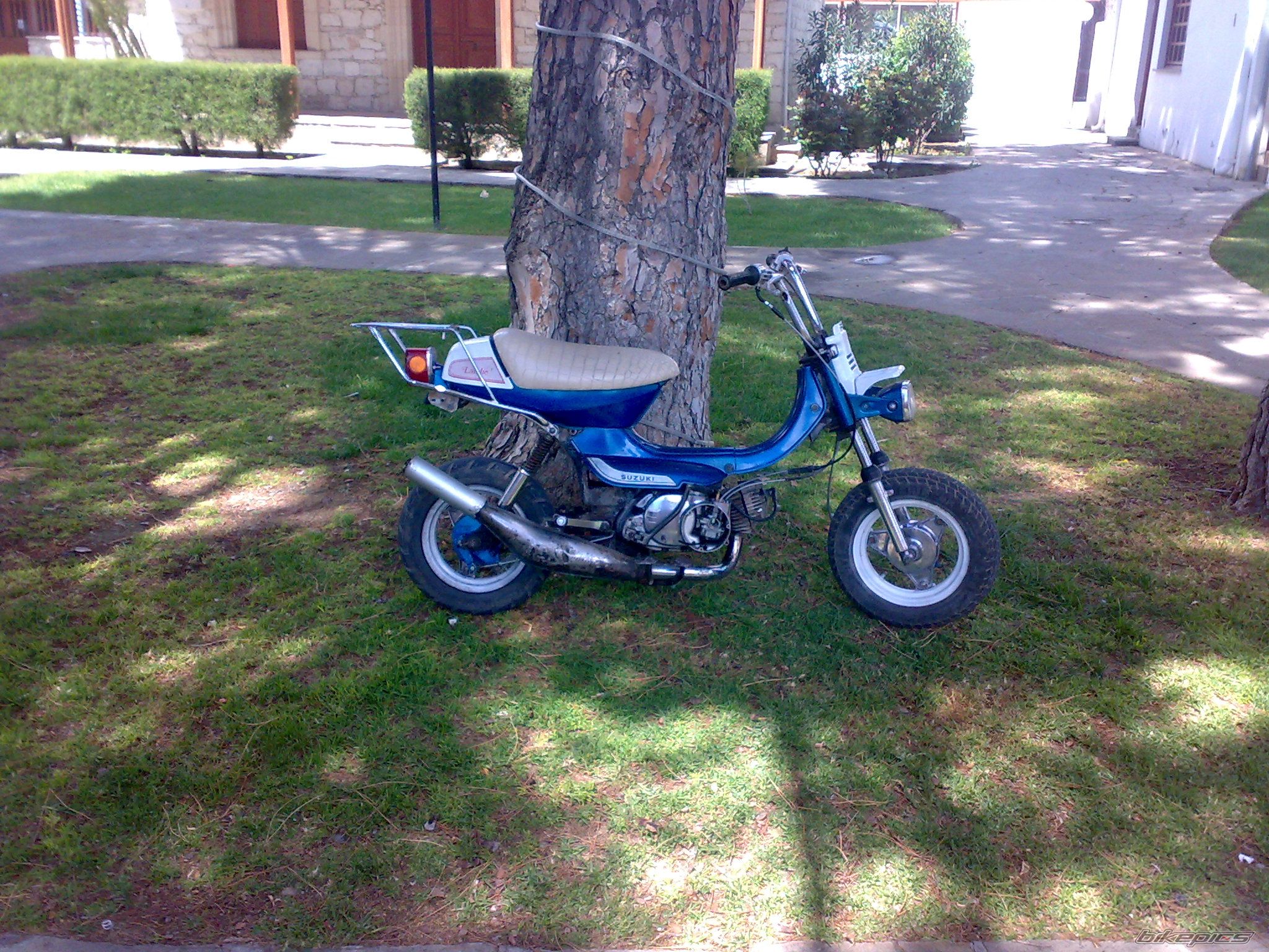 2010 SUZUKI LANDIE 50 | Picture 1651760 motorcycle photo
