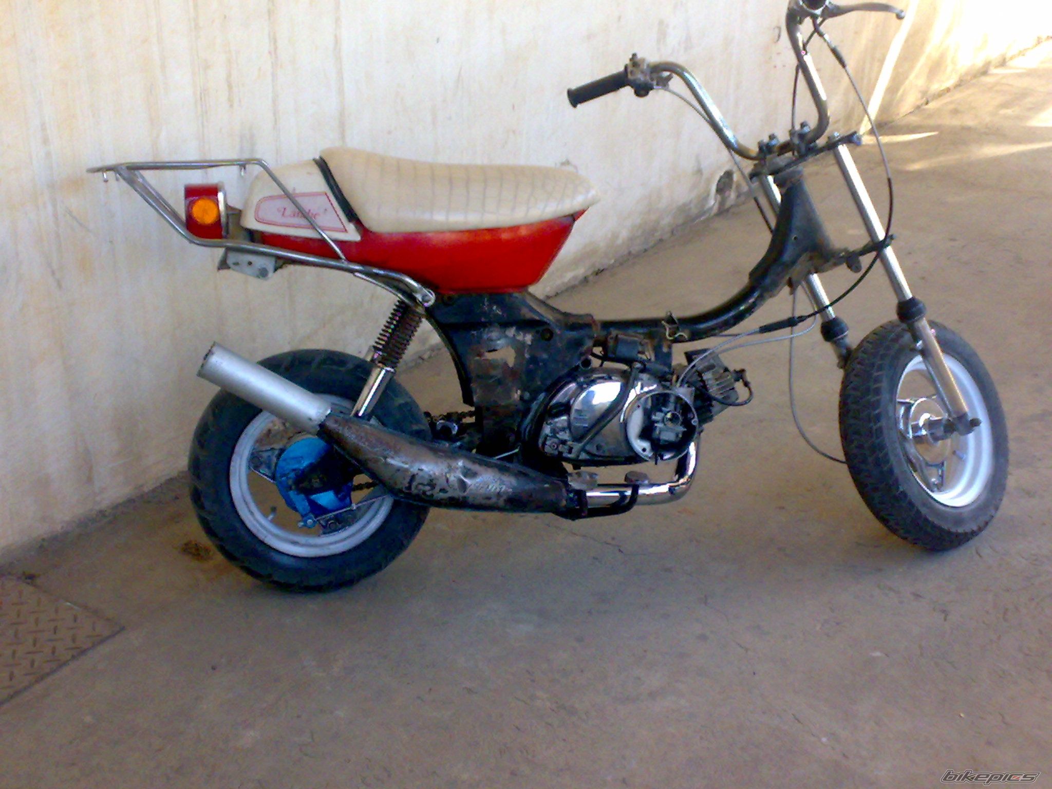 2010 SUZUKI LANDIE 50 | Picture 1651765 motorcycle photo