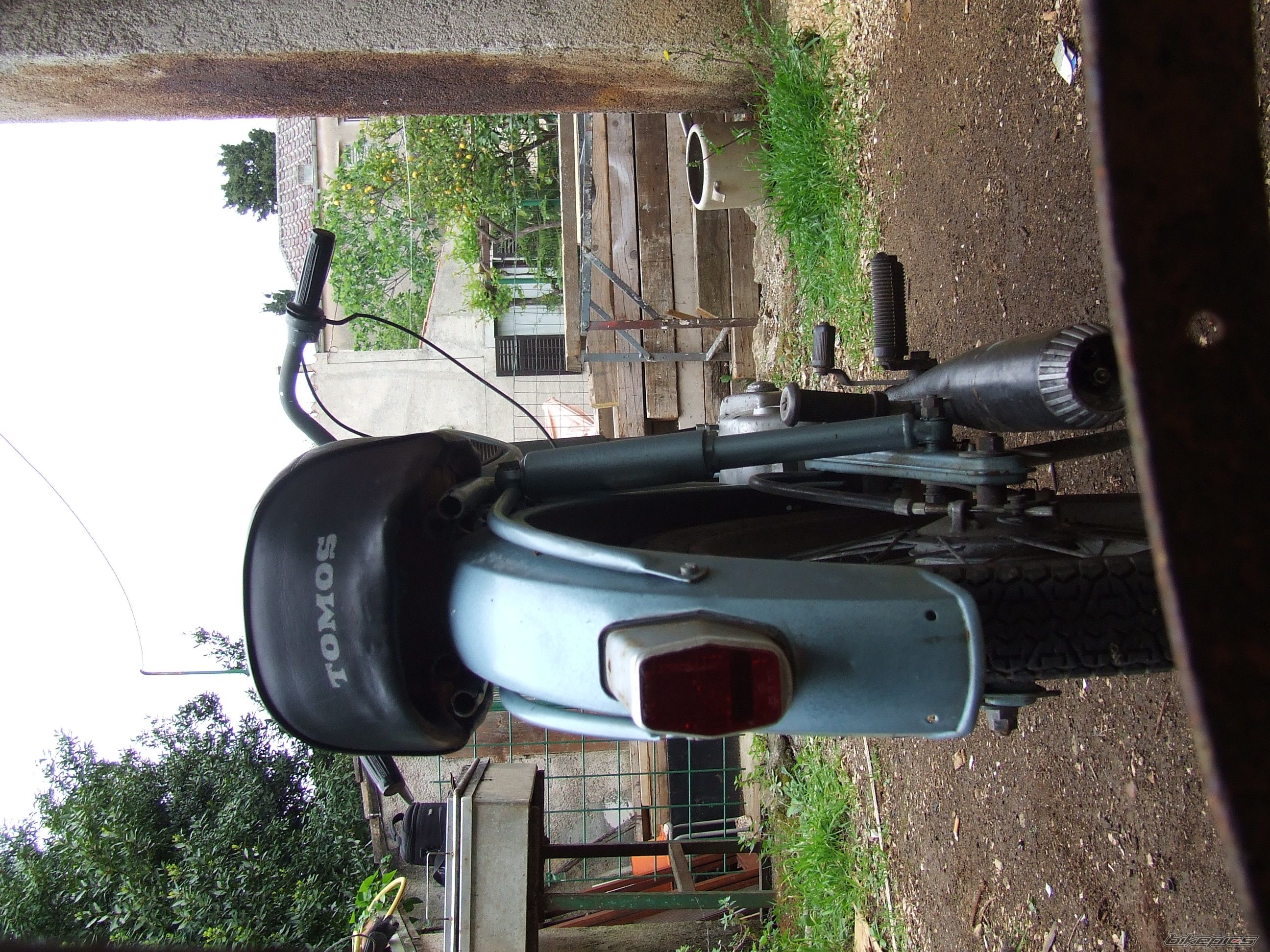 1979 TOMOS T 14 | Picture 1652664 motorcycle photo