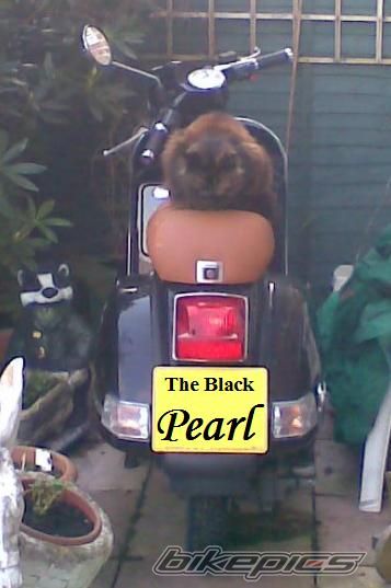 2007 VESPA PX 125 | Picture 1652922 motorcycle photo