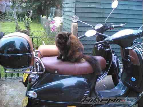 2001 VESPA ET4 125 | Picture 1652930 motorcycle photo