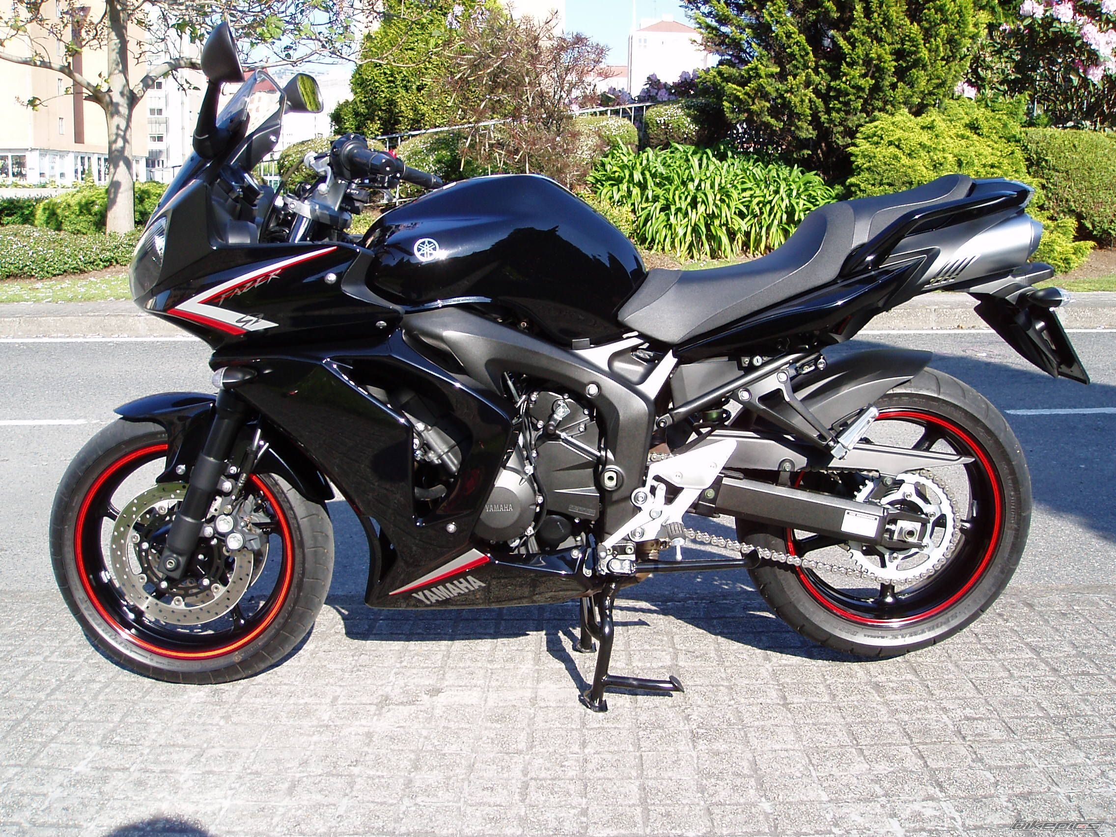 2008 YAMAHA FZ6 FAZER | Picture 1653402 motorcycle photo