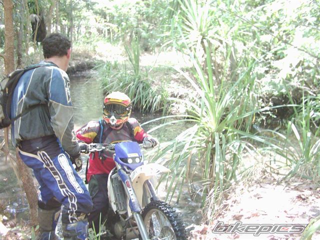 1998 HUSQVARNA TE 610 | Picture 1653529 motorcycle photo