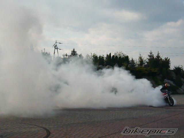 2000 HONDA CBR 600 | Picture 1654599 motorcycle photo