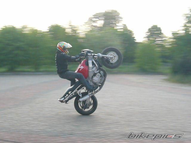 2000 HONDA CBR 600 | Picture 1654601 motorcycle photo