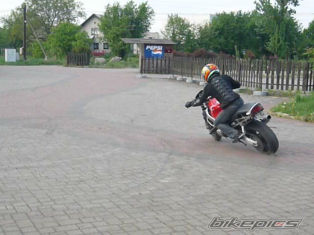 2000 HONDA CBR 600 | Picture 1654605 motorcycle photo