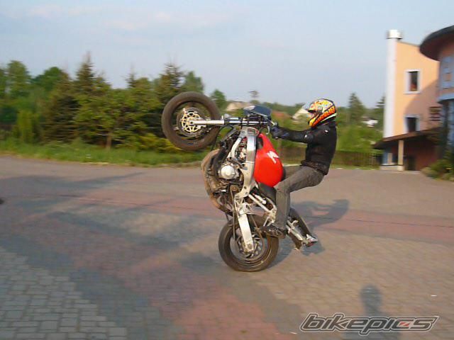 2000 HONDA CBR 600 | Picture 1654608 motorcycle photo