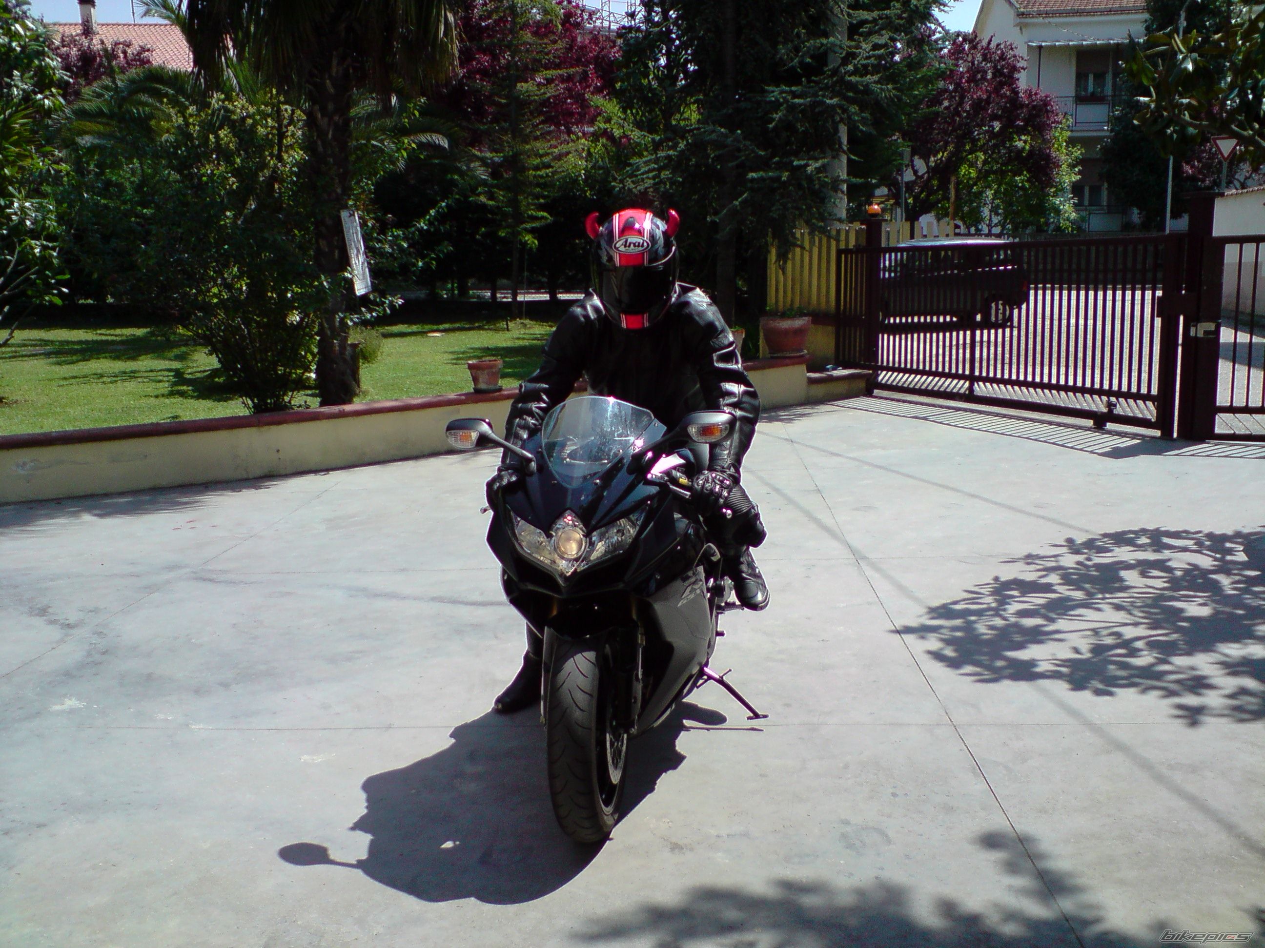 2008 SUZUKI GSX R 600 | Picture 1654904 motorcycle photo