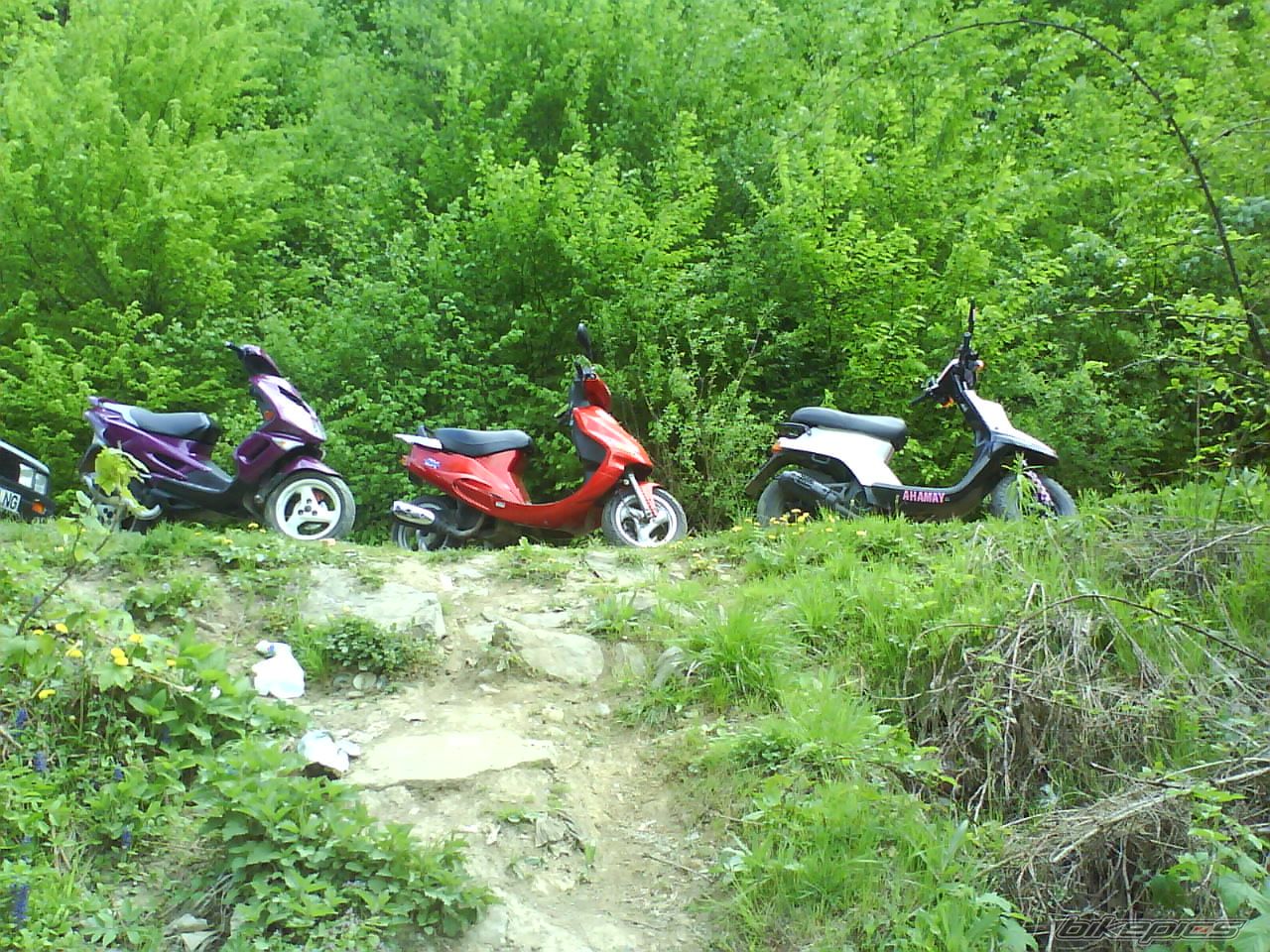 2000 KYMCO ZX 50 | Picture 1654969 motorcycle photo