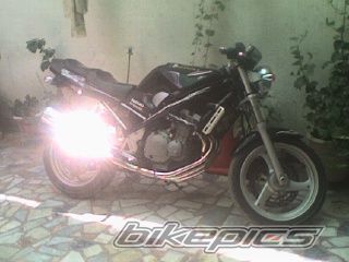 1995 SUZUKI BANDIT 250 | Picture 1655164 motorcycle photo