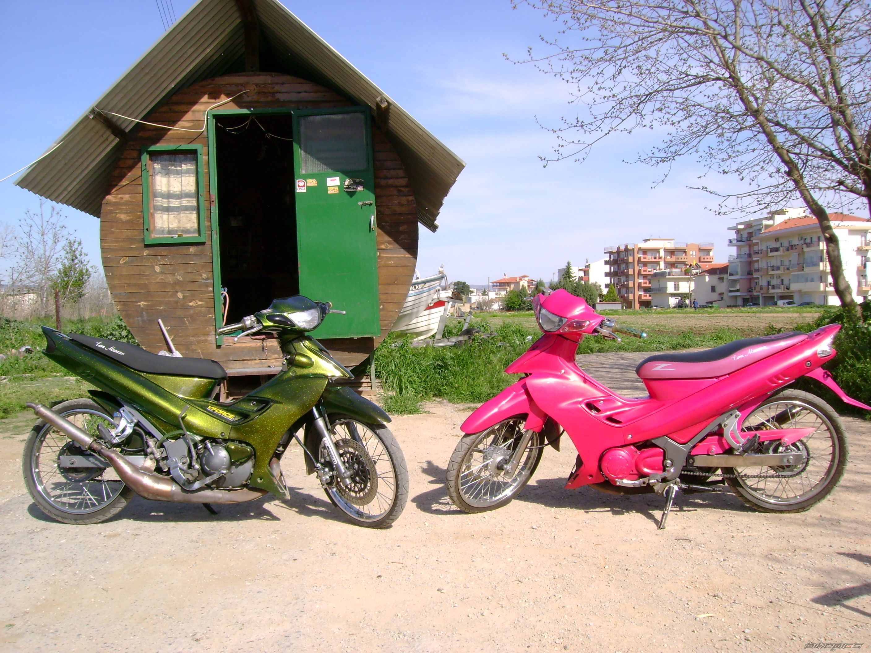 2010 YAMAHA Z 125 | Picture 1655166 motorcycle photo
