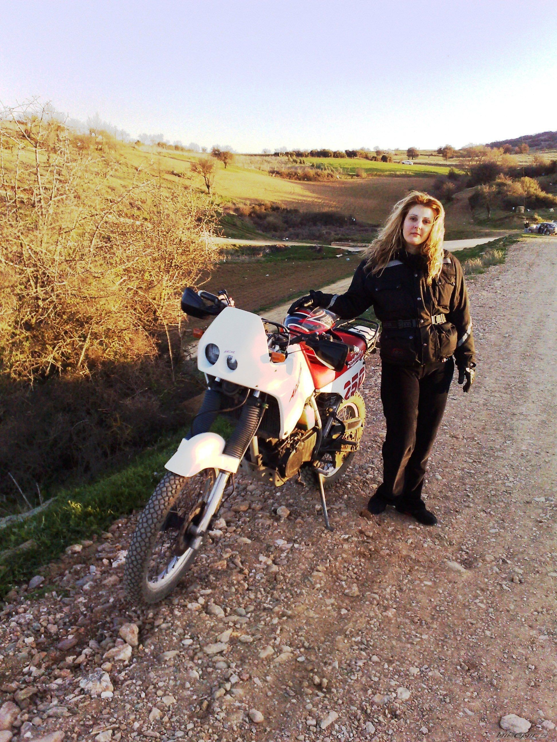    | Picture 1655832 motorcycle photo