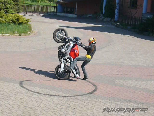 2000 HONDA CBR 600 | Picture 1655916 motorcycle photo