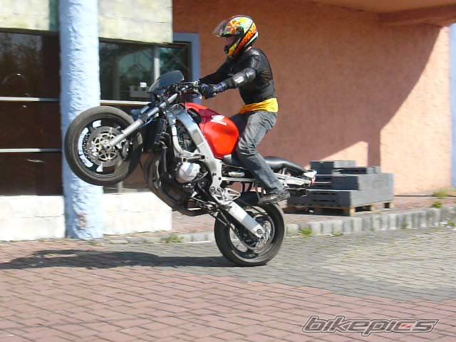 2000 HONDA CBR 600 | Picture 1655936 motorcycle photo