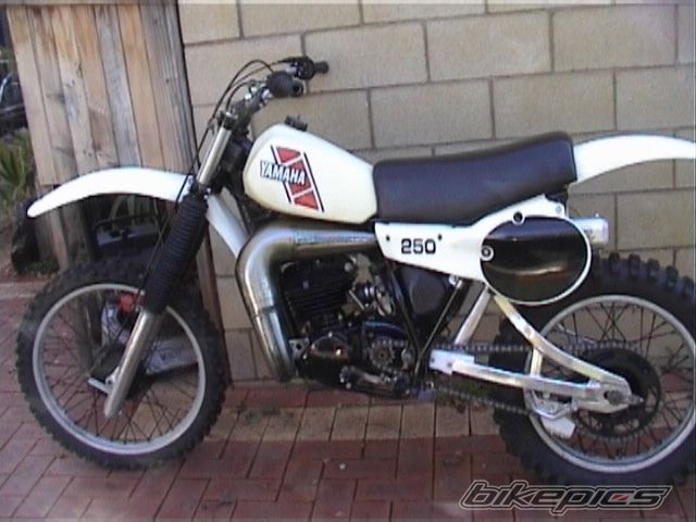 1981 YAMAHA YZ 250 | Picture 1656013 motorcycle photo