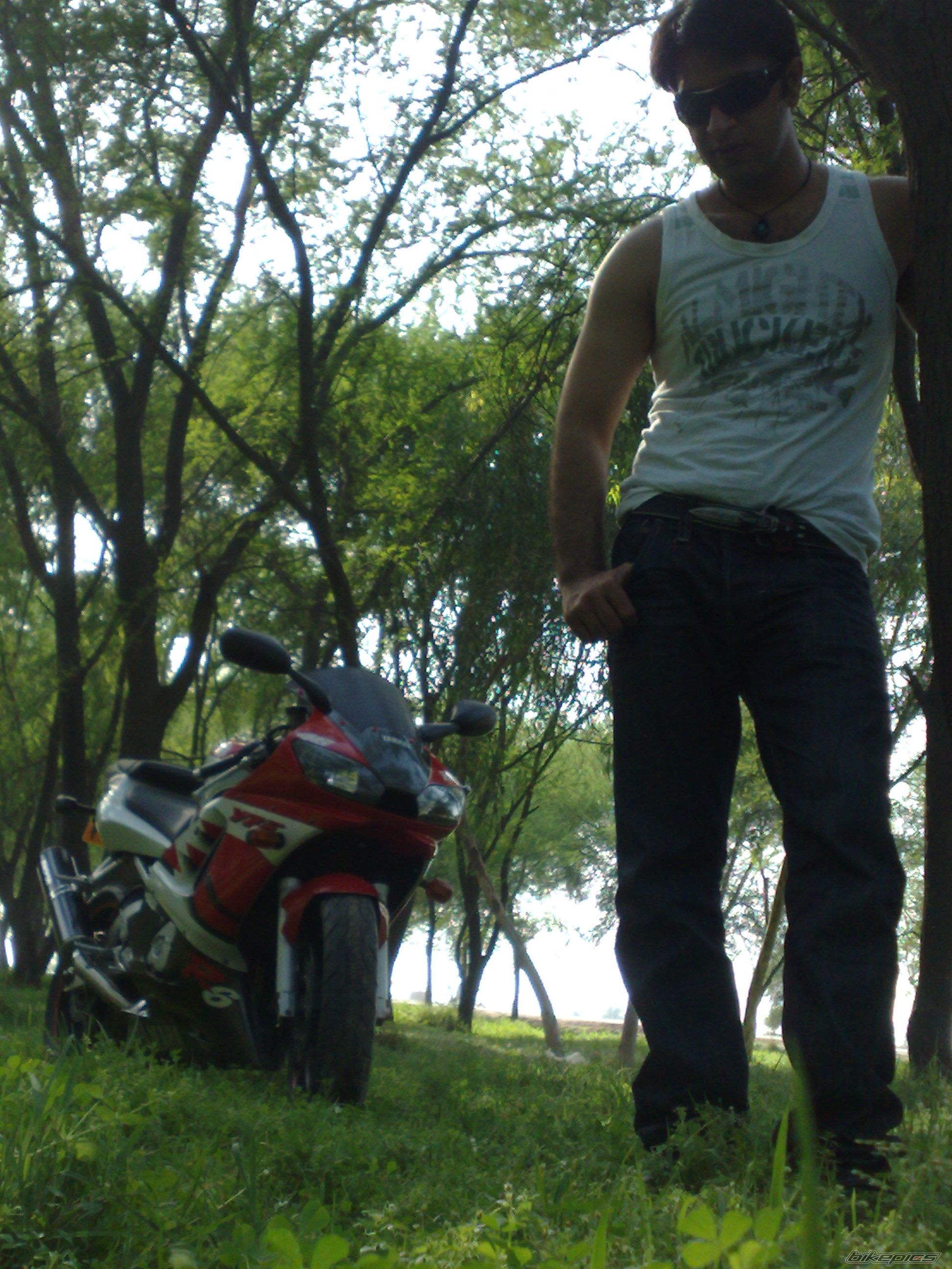 2001 YAMAHA YZF R6 | Picture 1656047 motorcycle photo