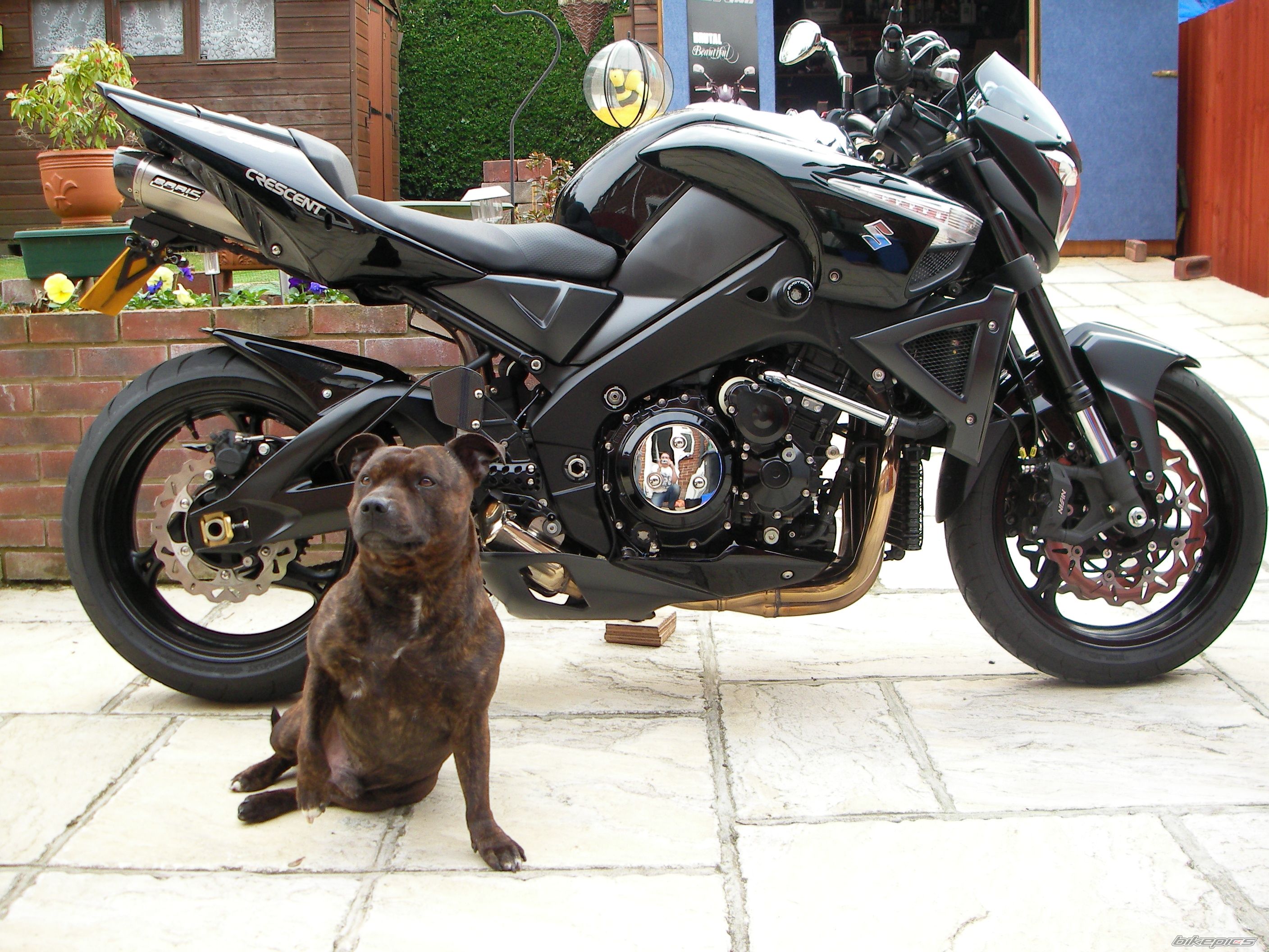 2007 SUZUKI B KING | Picture 1656306 motorcycle photo