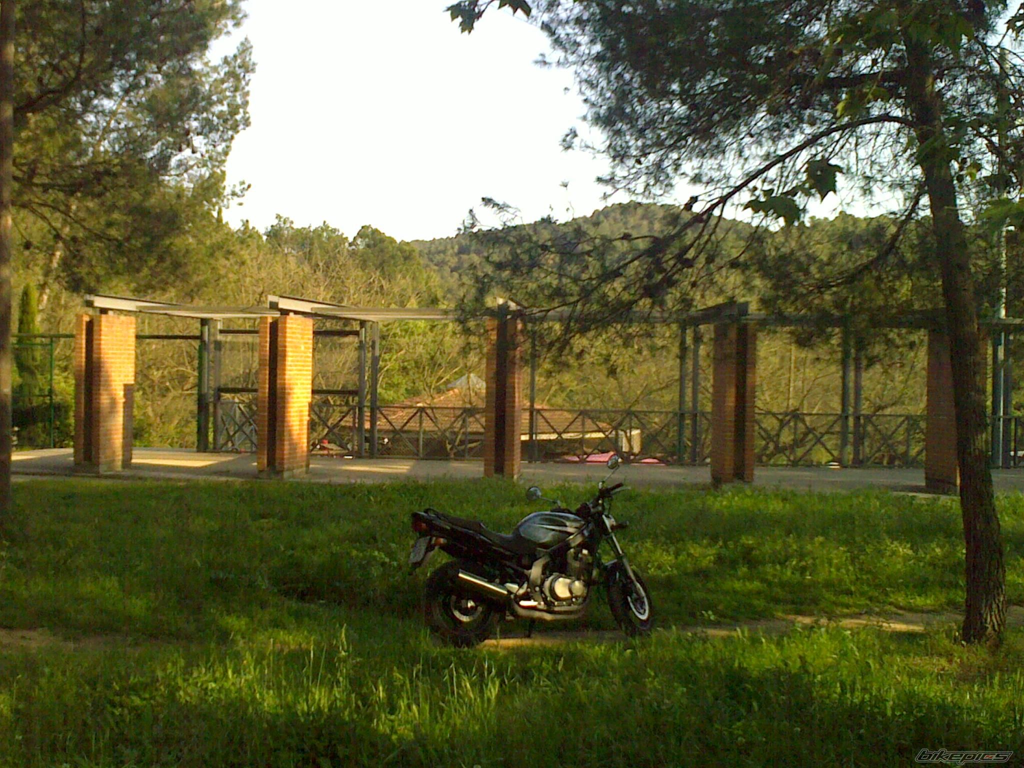 2008 SUZUKI GS 500 | Picture 1656551 motorcycle photo