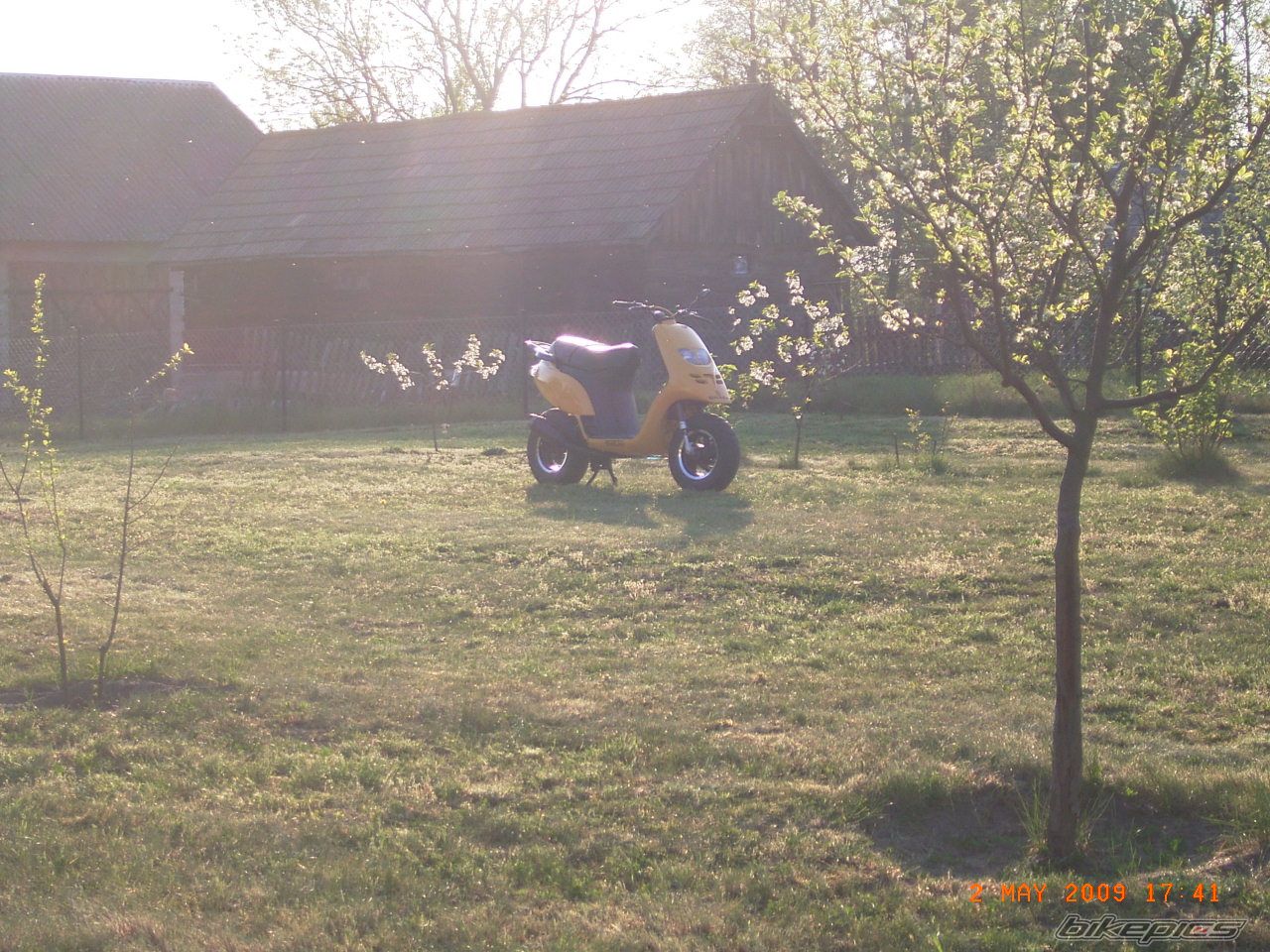 1996 PIAGGIO TYPHOON 50 | Picture 1657122 motorcycle photo