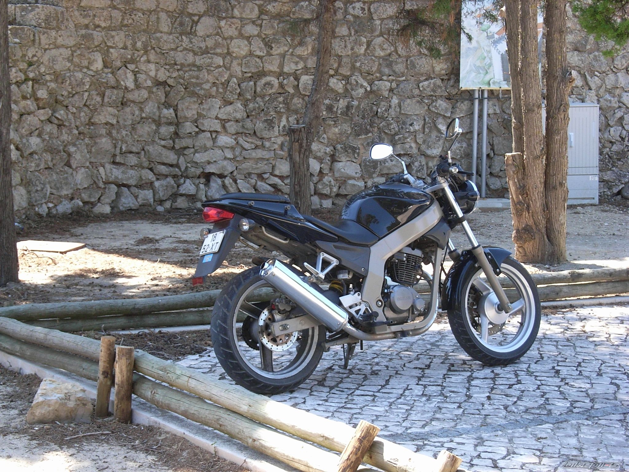 2004 DAELIM ROADWIN | Picture 1657432 motorcycle photo