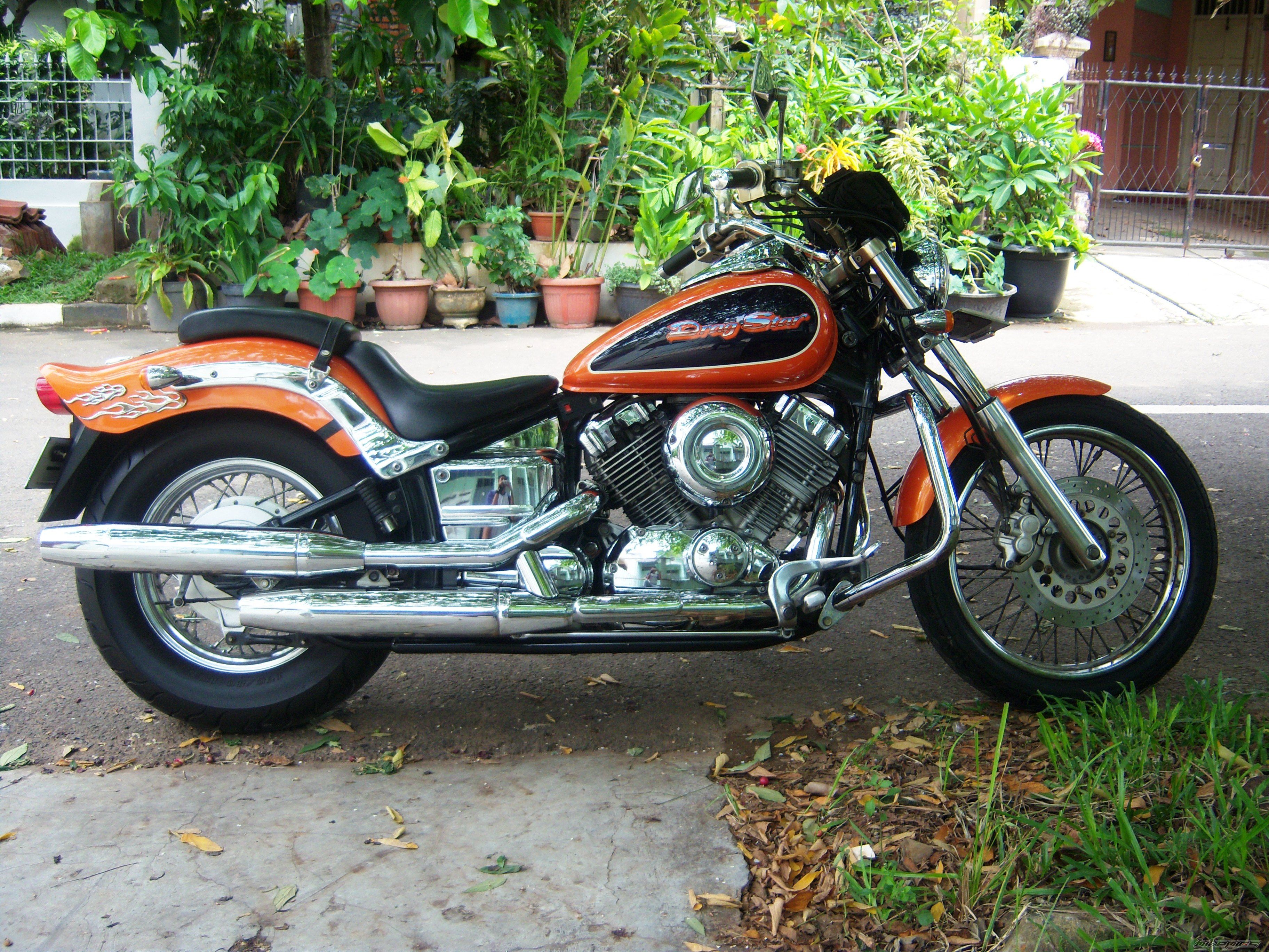 1998 YAMAHA DRAGSTAR 400 | Picture 1657539 motorcycle photo
