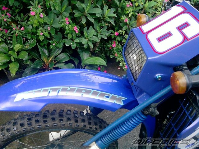 2009 KAWASAKI KMX 125 | Picture 1657684 motorcycle photo