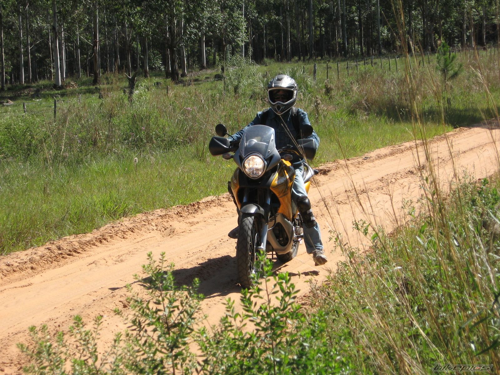 2008 HONDA XL 650V TRANSALP | Picture 1657730 motorcycle photo