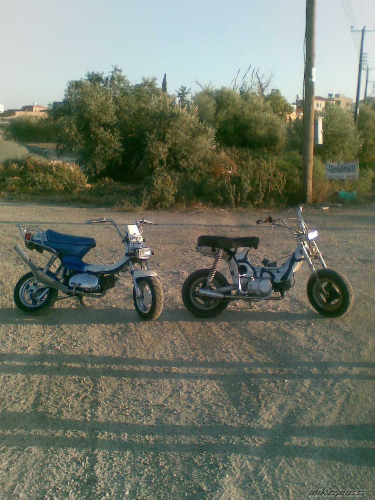 2010 SUZUKI LANDIE 50 | Picture 1657755 motorcycle photo