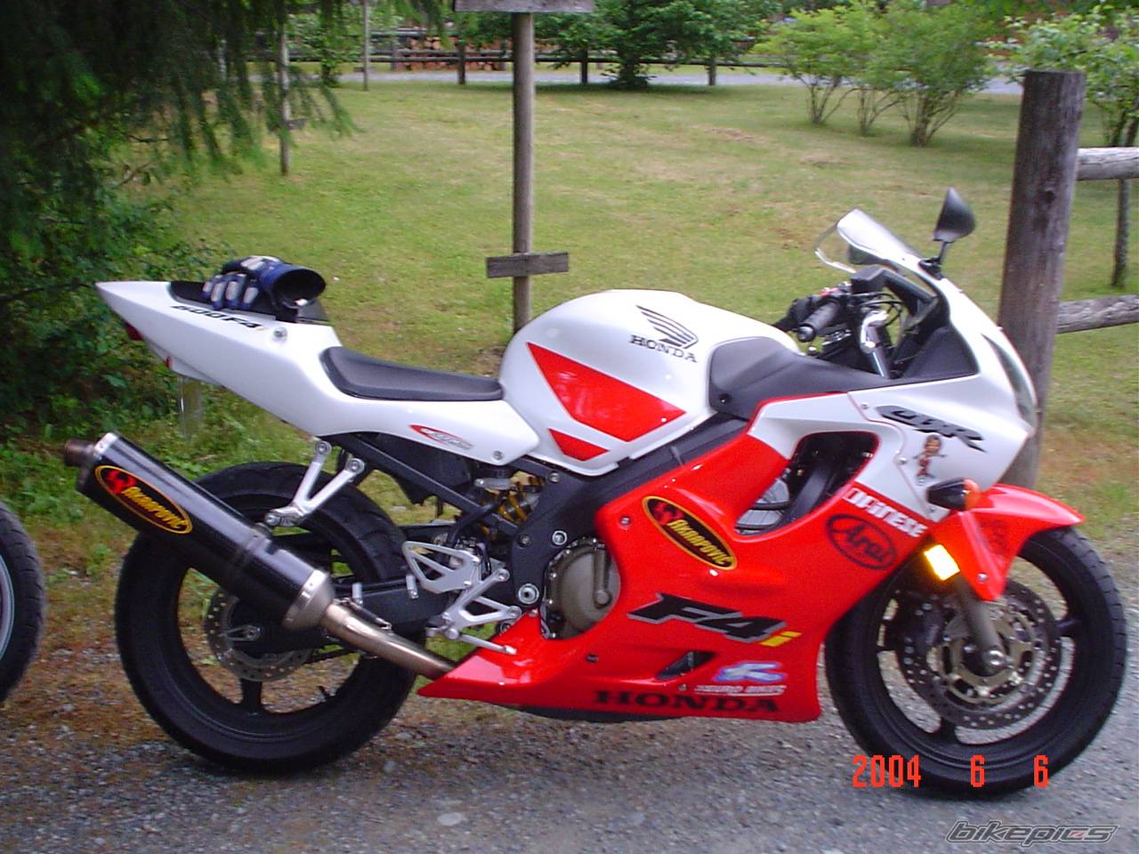 2001 HONDA CBR 600 | Picture 165785 motorcycle photo