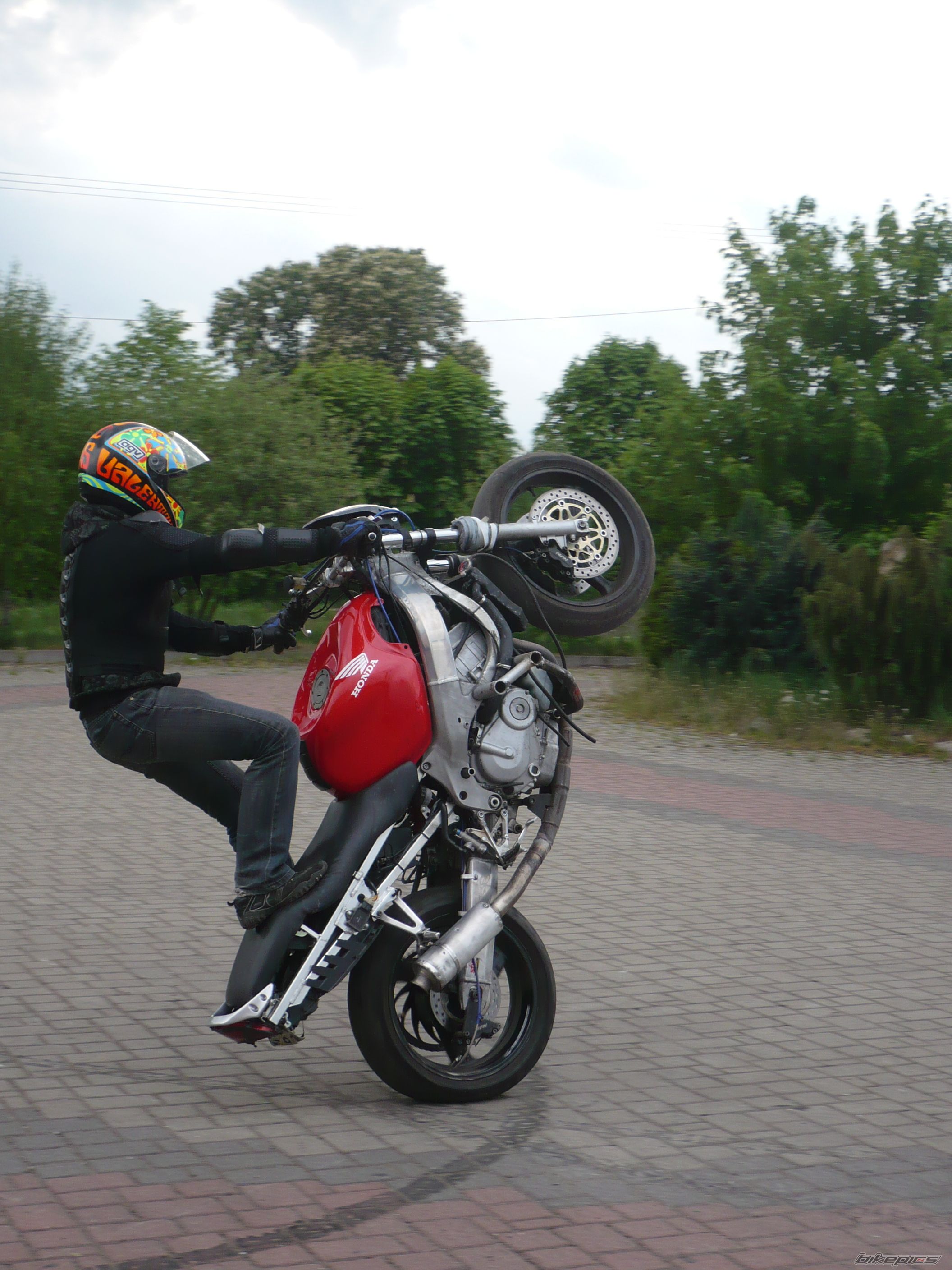 2000 HONDA CBR 600 | Picture 1658423 motorcycle photo