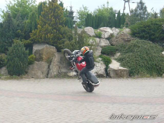 2000 HONDA CBR 600 | Picture 1658430 motorcycle photo