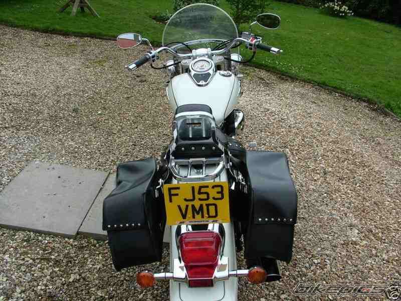 2003 SUZUKI INTRUDER VOLUSIA | Picture 1658867 motorcycle photo
