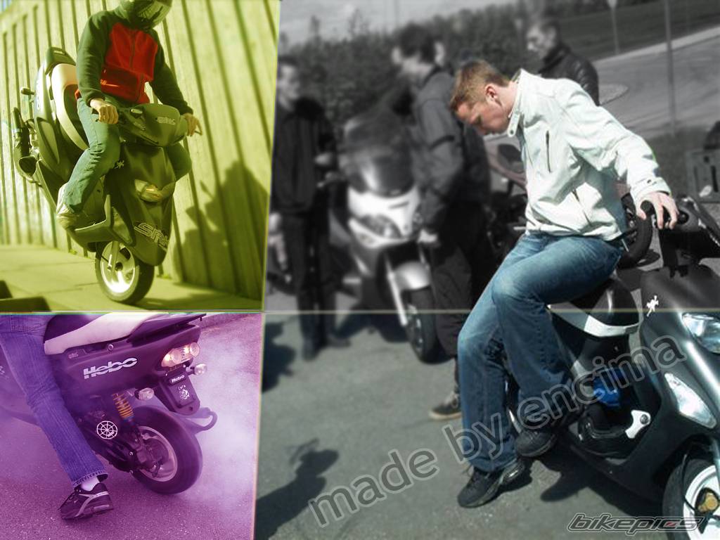 2000 HONDA SFX | Picture 165919 motorcycle photo