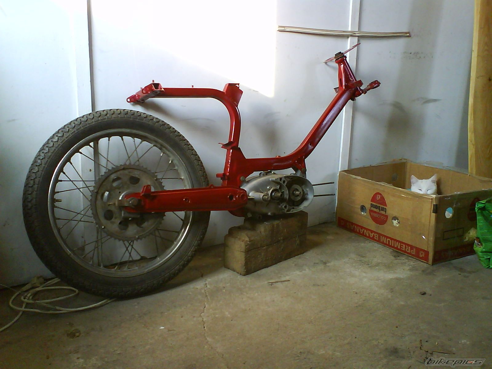 1968 JAWA 50 | Picture 1659298 motorcycle photo