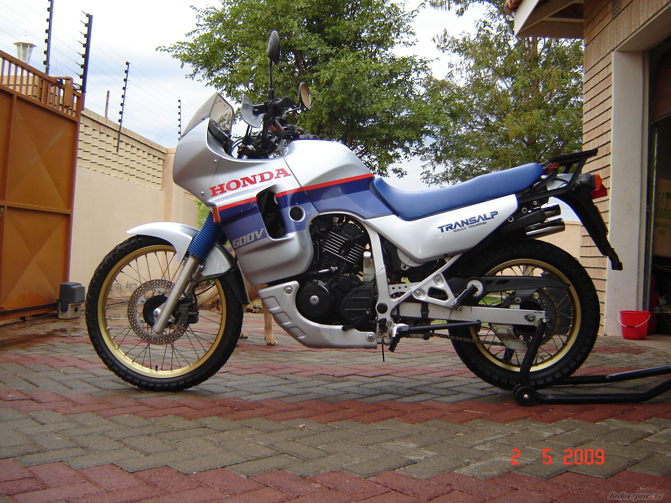 1987 HONDA XL 600V TRANSALP | Picture 1659397 motorcycle photo