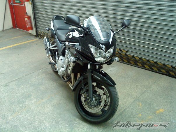 2008 SUZUKI BANDIT 650 | Picture 1659453 motorcycle photo