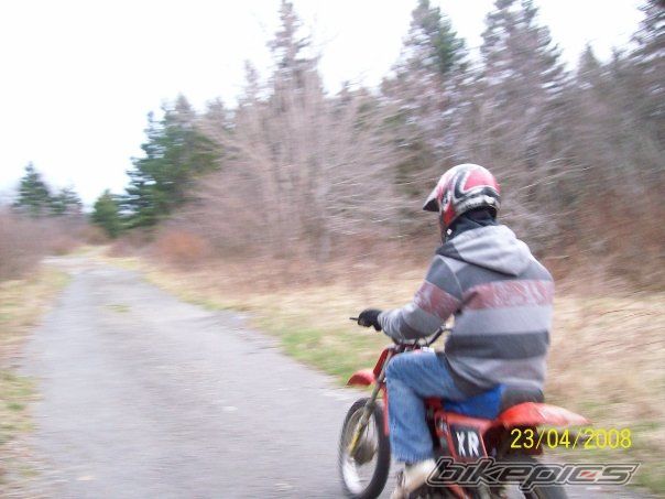 1984 HONDA XR 80 | Picture 1659528 motorcycle photo