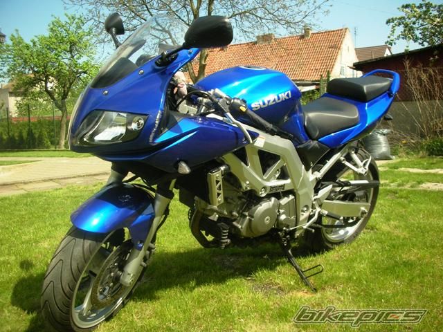 2004 SUZUKI SV 650S | Picture 1659850 motorcycle photo