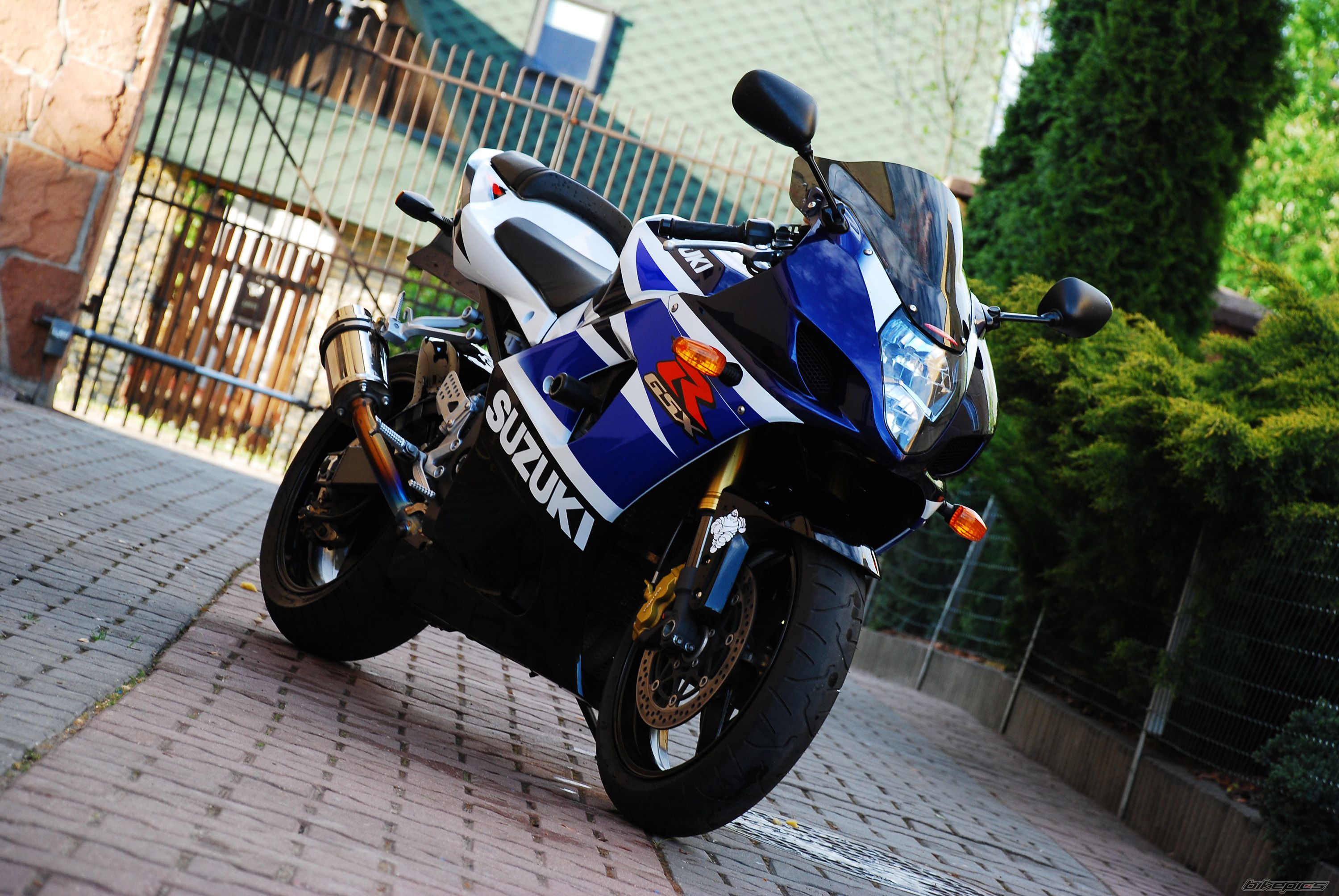 2004 SUZUKI GSX R 1000 | Picture 1660198 motorcycle photo